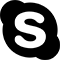 icon skype